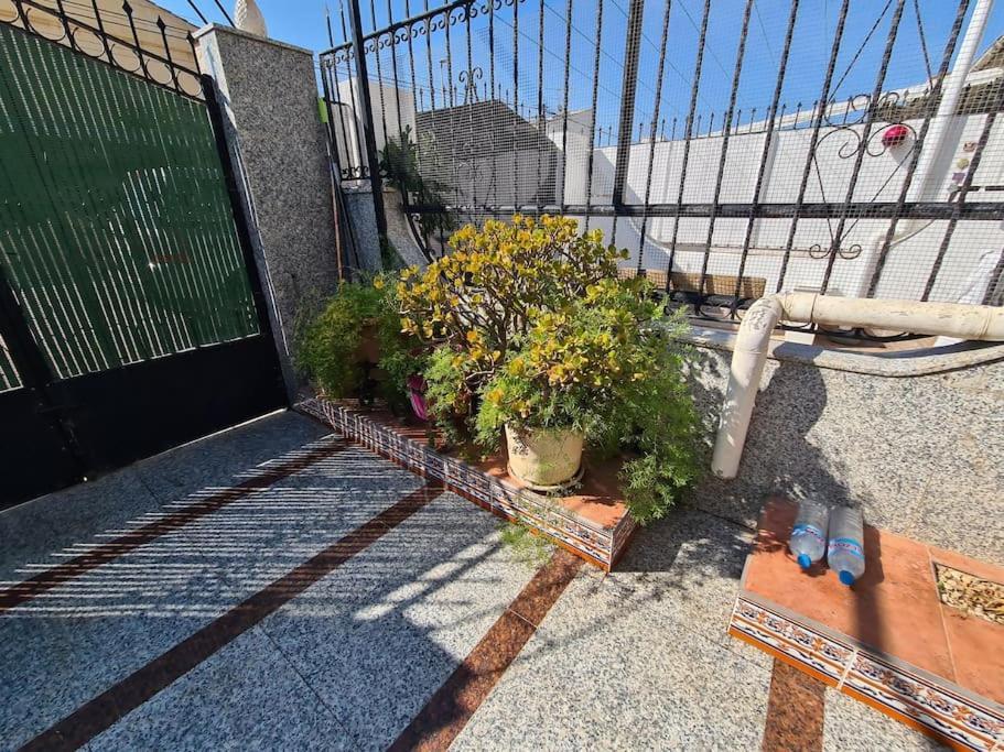Marble Manor Guest House Los Alcázares Exterior photo